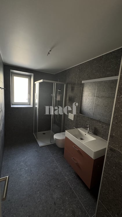 Magnifique appartement de 1.5 pièces avec terrasse 7