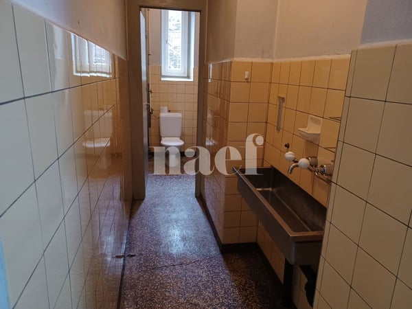 Local commercial lumineux d'environ 240m2 10