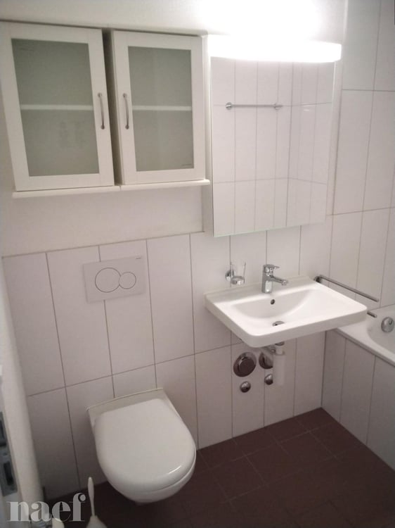 1.5 pièces récemment refait à neuf dans la coopérative de La Renouvelle 11