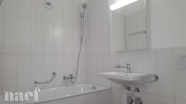 1.5 pièces récemment refait à neuf dans la coopérative de La Renouvelle 10