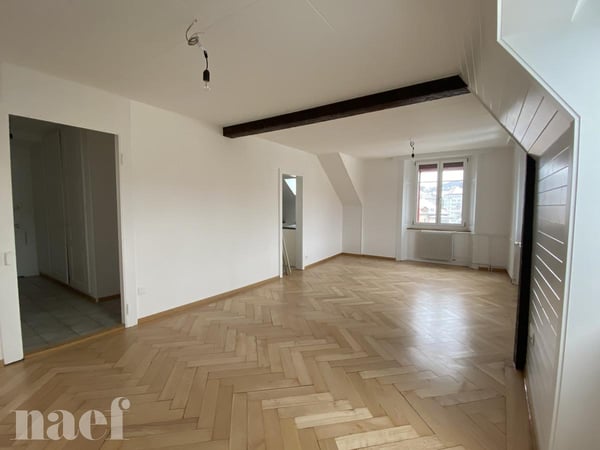 Magnifique 1.5 pièces entièrement rénové 3