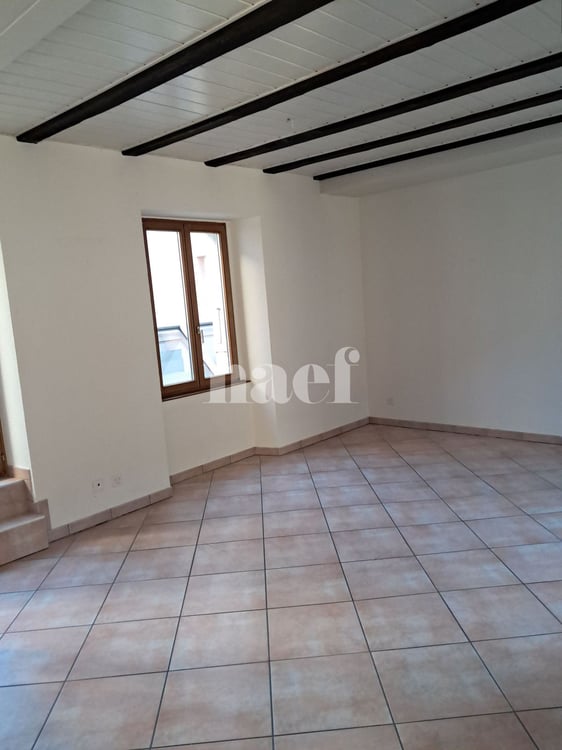 RARE ! Duplex de 1 pièces dans immeuble de charme sur la Place du Marché 5