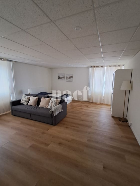 Appartement MEUBLÉ de 1 pièces 1