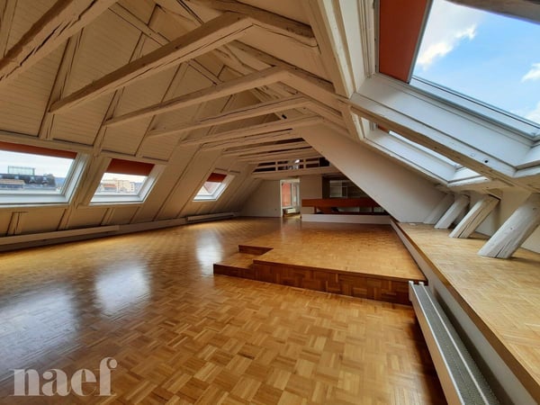 Grand logement au centre-ville avec terrasse 1