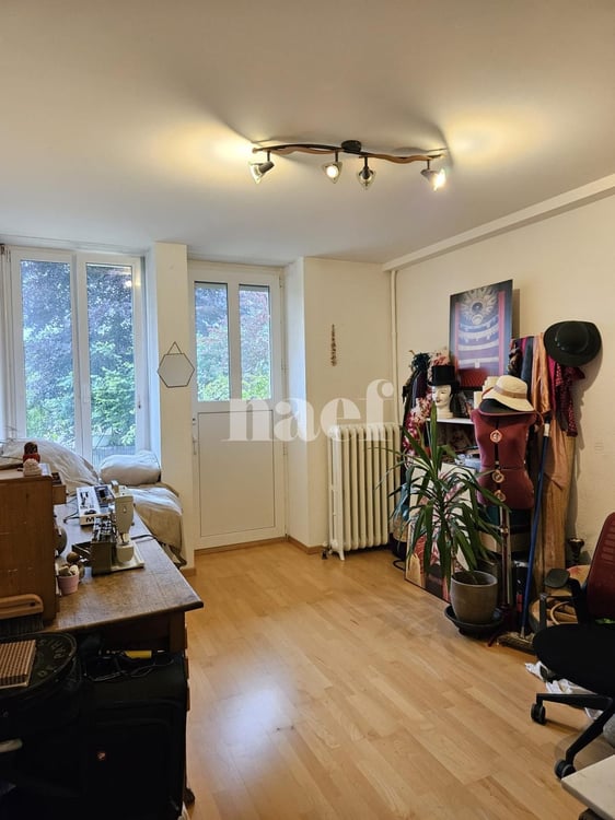 Appartement de 3 pièces au rez inférieur avec accès direct au jardin 5