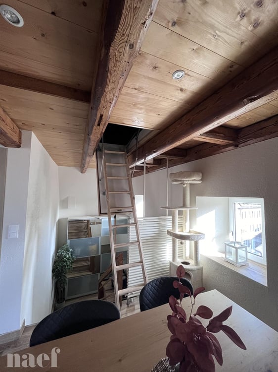 Magnifique appartement de 3.5 pièces proche du centre-ville 6