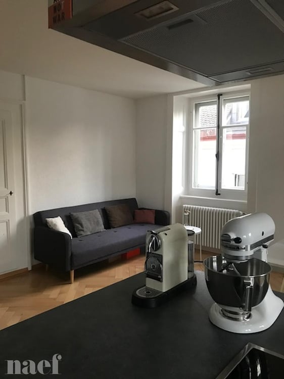 Magnifique appartement lumineux avec cachet de 1 pièces 6