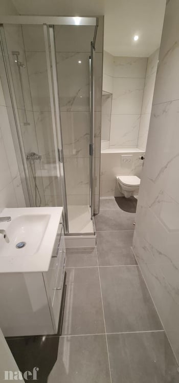 Appartement de 4 pièces rénové récemment avec balcon et véranda 8