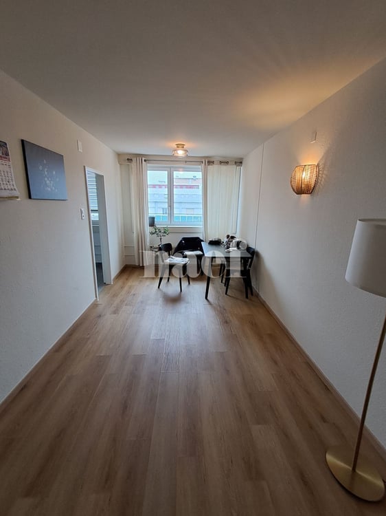 Appartement MEUBLÉ (à choix) de 3 pièces 4