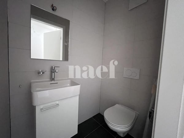 Magnifique duplex de 4,5 pièces au 4ème étage Ouest 9