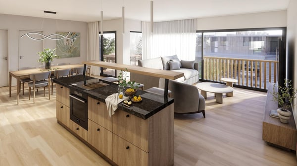 Attique 1.5 pces avec grande terrasse 3