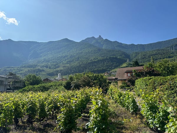 Appartements au centre de Saxon du 2,5 au 1.5 pièces 5