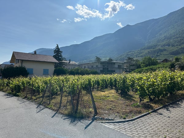 Appartements au centre de Saxon du 2,5 au 1.5 pièces 1