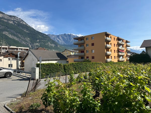 Appartements au centre de Saxon du 2,5 au 1.5 pièces 4