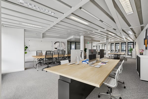 Plug & Work Bezugsbereite Bürofläche im Zentrum von Basel 4