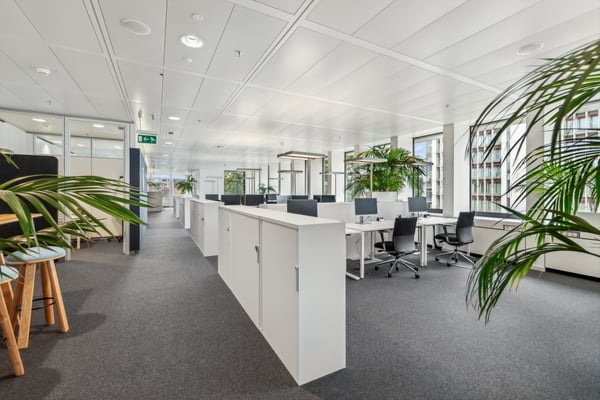 Arbeiten, wo Innovation zuhause ist - Büroflächen im Novartis Campus 3