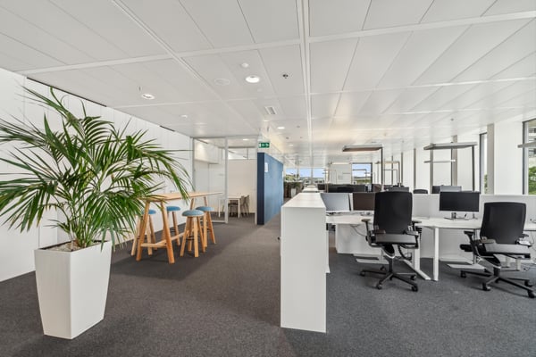 Arbeiten, wo Innovation zuhause ist - Büroflächen im Novartis Campus 3