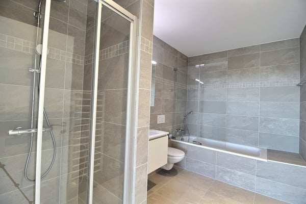 Magnifique 1.5 pièces avec vue imprenable ! 4