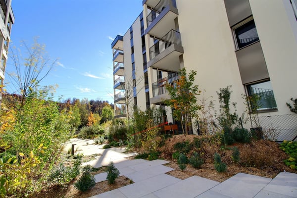 Appartement 1.5 pièces à louer à Marly 1