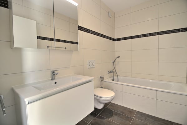 Magnifique duplex de 1.5 pièces à louer 7