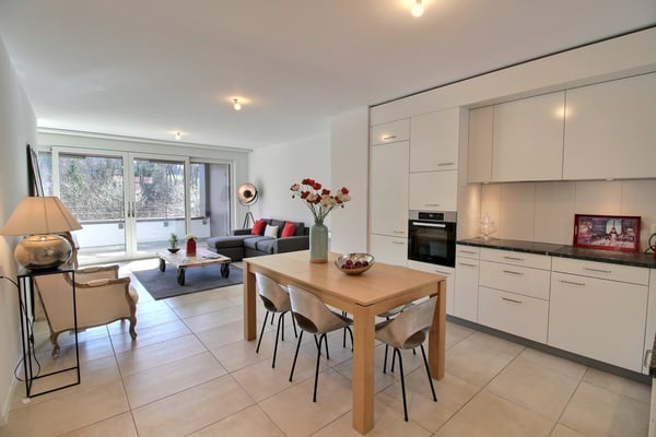 Magnifique duplex de 1.5 pièces à louer 1