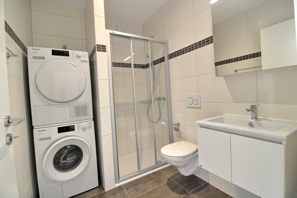 Magnifique duplex de 1.5 pièces à louer 6