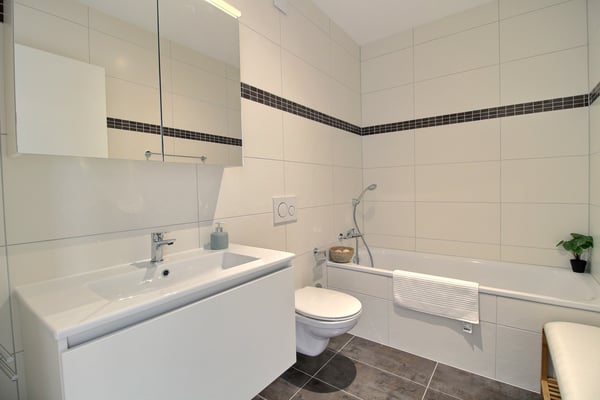 Magnifique 3.5 pièces en duplex à louer 5