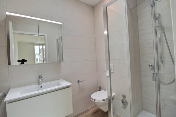 Exceptionnel appartement de 4.5 pièces à louer au dernier étage à Marly ! 5