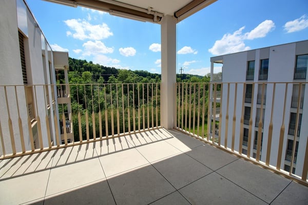 Appartement neuf de 3.5 pièces à louer 3