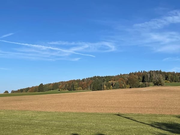Superbes lofts personnalisés, lumineux et dans un cadre paisible 8
