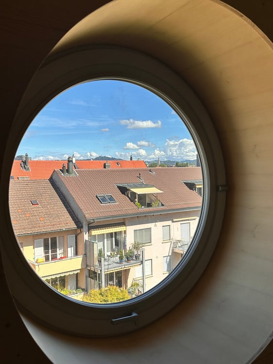 Neue 1-Zimmer-Loftwohnung 1