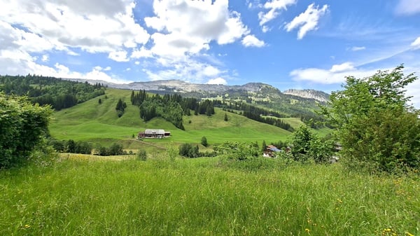 Einfamilienhaus mit Charakter an ruhiger Lage 8