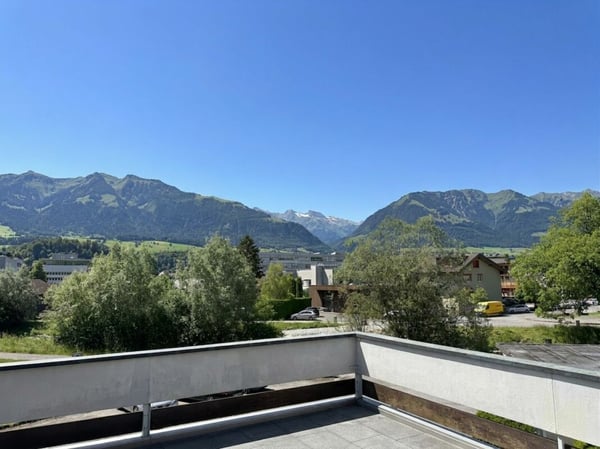 Tolle Attika-Wohnung mit grosser Terrasse und Weitsicht 3