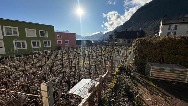 Immeuble locatif à Vouvry 10