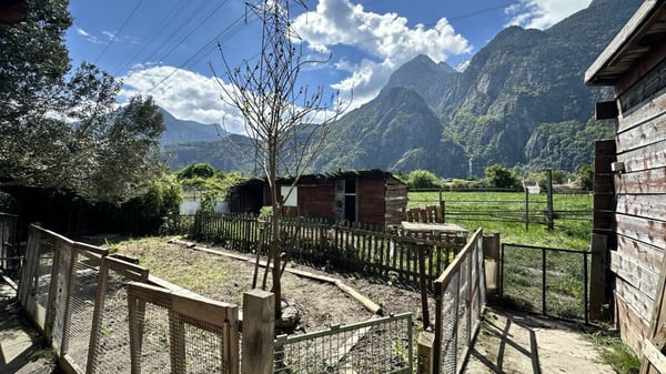 Villa avec écurie pour chevaux à Dorénaz 4