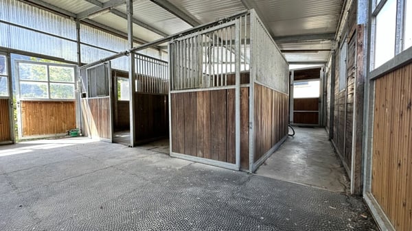 Villa avec écurie pour chevaux à Dorénaz 19