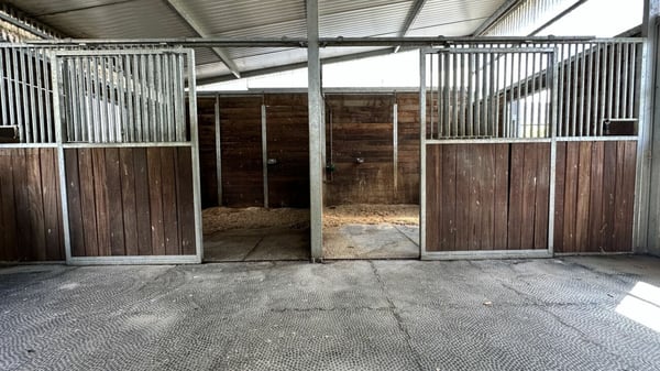 Villa avec écurie pour chevaux à Dorénaz 22