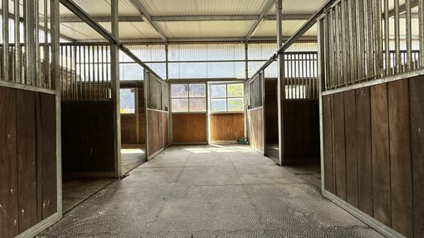 Villa avec écurie pour chevaux à Dorénaz 20