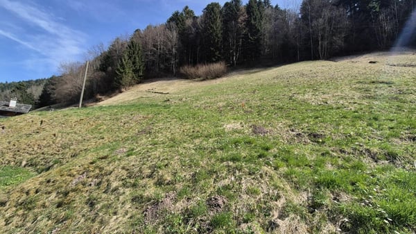 Chalet 5 pièces à Troistorrent 20