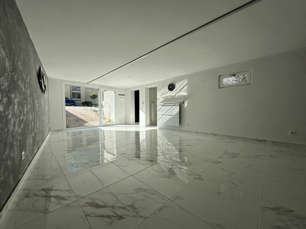 Maison individuelle avec possibilité d'activité indépendante et grande terrasse 20