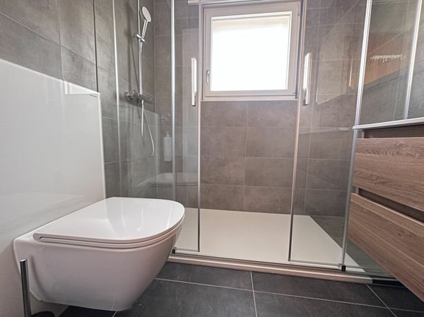 Maison individuelle avec possibilité d'activité indépendante et grande terrasse 11