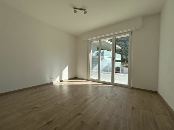 Maison individuelle avec possibilité d'activité indépendante et grande terrasse 9