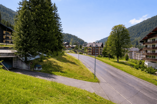 Morgins