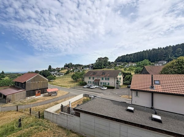 Appartement de 4,5 pièces à Châtillon 12