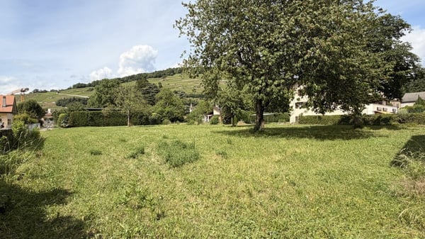 Terrain avec projet à vendre à Bex 2
