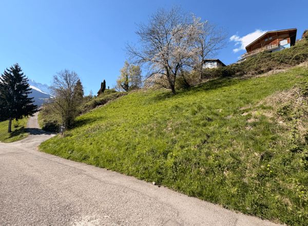 Belle parcelle à vendre à Collombey ( Les Neyres ) 1
