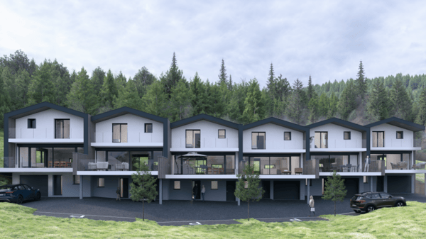 Magnifique villas jumelées à Vex - LOT2