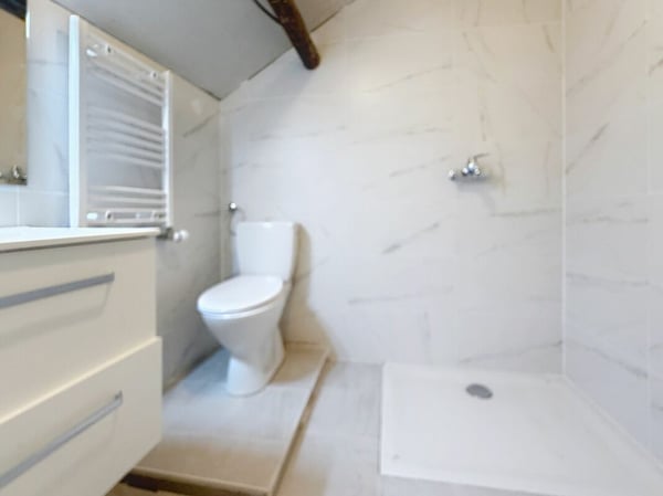 Auberge de 16 chambres avec bar à louer sur Morgins 14