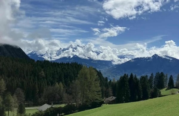 Maison individuelle de standing avec 2 appartements à vendre à Corbeyrier, à 15 min d'Aigle 4