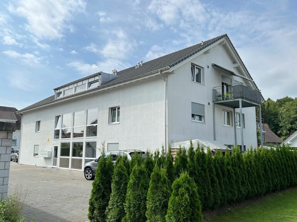 1.5 Zi sonnige Gartenwohnung 2